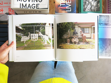 Load image into Gallery viewer, David Wadelton – Front Yard