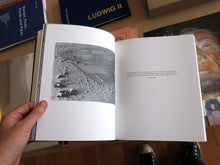 Load image into Gallery viewer, David Campany - a Handful of Dust