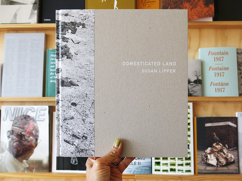 Susan Lipper – Domesticated Land